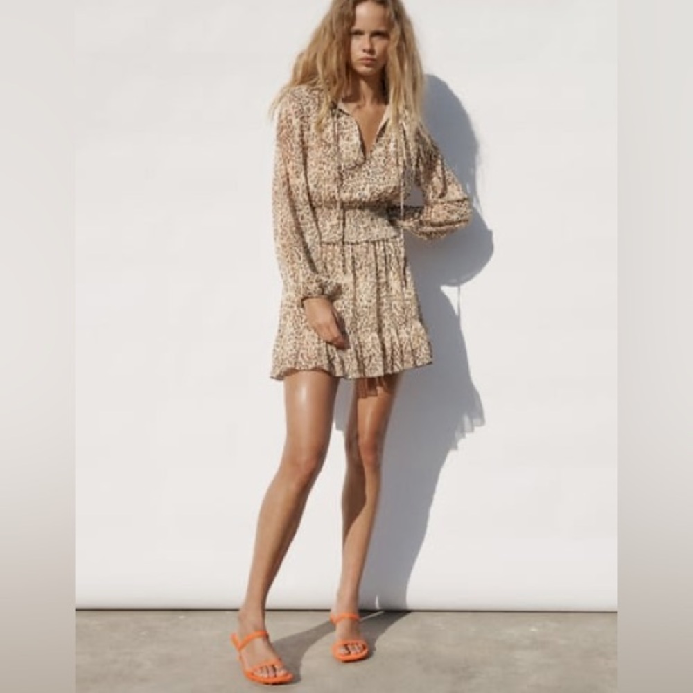 Zara Print Dress